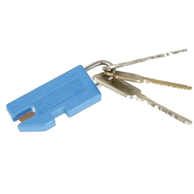 Smart Keys