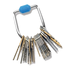 Key Rings with Hubs